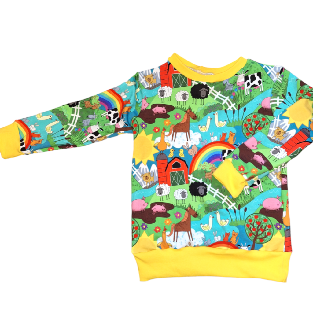 Next hot sale rainbow jumper