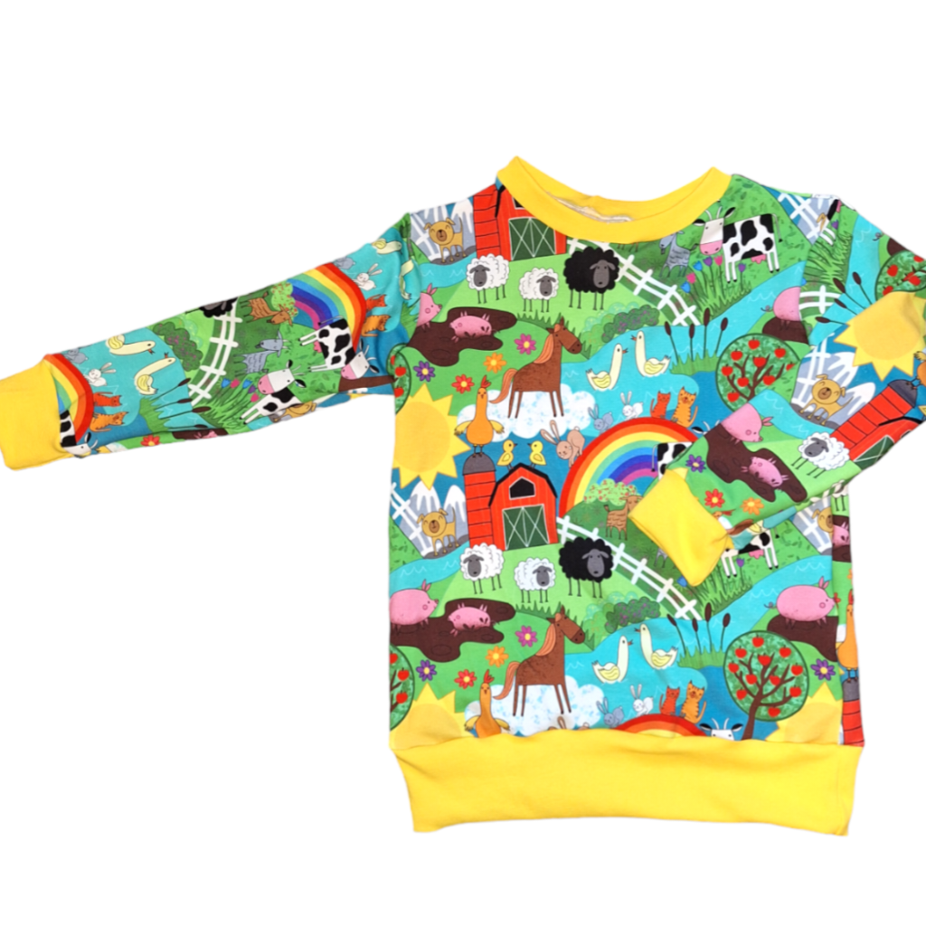 Next 2025 rainbow jumper